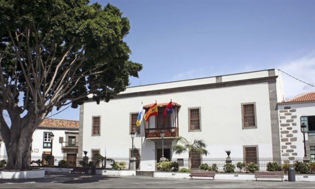 Telde saca a licitación el servicio de control de plagas por un total de 187.580,04 euros&nbsp;
