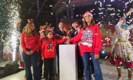 Más de dos millones de bombillas LED iluminan desde hoy la Navidad en las calles de Santa Cruz