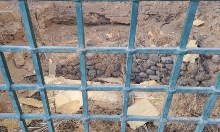 Estado de crítico de conservación del patrimonio histórico y cultural, del yacimiento arqueológico de El Baladero