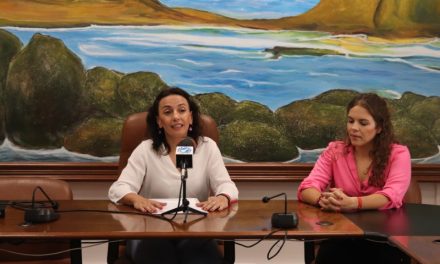 El mantenimiento y reparación de espacios públicos municipales de Arico aprobado en comisión informativa
